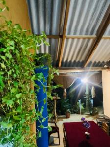 Φωτογραφία από το άλμπουμ του Holiday Inn σε Udawalawe