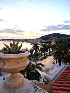 Una grande pianta in un vaso sul lato di una strada di Riva Luxury Suites a Spalato (Split)