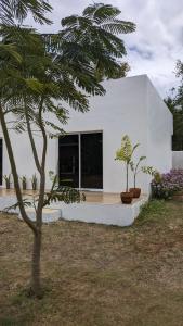 Κήπος έξω από το MHARI Guest Rooms