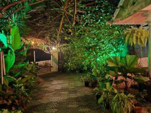 Bella Homestay Kerala外面的花园