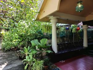 Bella Homestay Kerala外面的花园