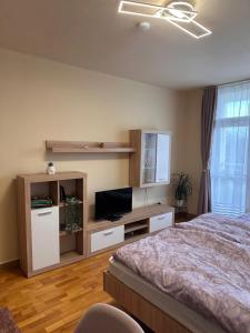 a bedroom with a bed and a flat screen tv at Savaria Kuckó in Szombathely