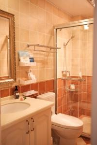 a bathroom with a toilet and a sink and a shower at 福来小院民宿 in Jiezi Ancient Town +37 photos