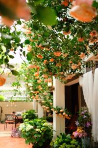 Ein Garten an der Unterkunft 福来小院民宿