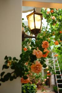 Ein Garten an der Unterkunft 福来小院民宿