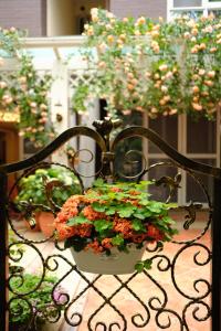 Ein Garten an der Unterkunft 福来小院民宿
