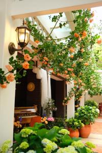 Ein Garten an der Unterkunft 福来小院民宿