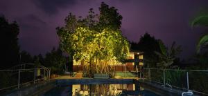 a tree in front of a house at night at Bell Farms and Resorts in Munroe Island