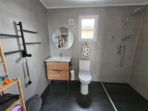 a bathroom with a toilet and a sink and a shower at "Chalet Zanna" privéaccomodatie op park, begaafdzorgtse in Opende +27 photos