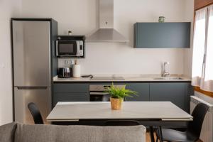 eine Küche mit einem Tisch und einer Pflanze darauf in der Unterkunft Casa Tierra Viva, junto a Bardenas Reales y Sendaviva in Valtierra