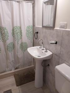 ein Badezimmer mit Waschbecken und Duschvorhang in der Unterkunft Departamentos Cerro Chaltén in El Chalten + 26 Fotos