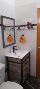 a bathroom with a sink and a mirror and a toilet at San Vicente - Misiones in San Vicente