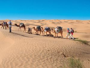 Ảnh trong thư viện ảnh của Camp Sahara Holidays ở Mhamid