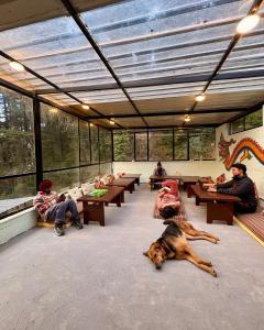 Eevolve Dharamkot - An Eco Hostel的休息区