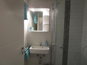 ein Bad mit einem Waschbecken und einer Dusche mit einem Spiegel in der Unterkunft Ferienwohnung M Löffler in Lörrach