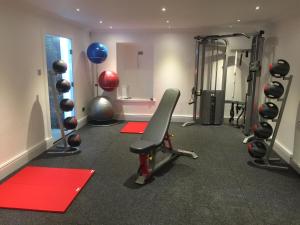 Fitness centrum a/nebo fitness zařízení v ubytování The Royal George Hotel