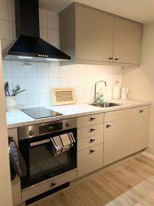 a kitchen with a stove and a sink at Bright and pleasant basement apartment near downtown, Lys og trivelig kjellerleilighet i sentrumsnært in Kirkenes