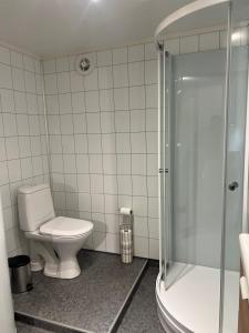 a bathroom with a toilet and a shower at Bright and pleasant basement apartment near downtown, Lys og trivelig kjellerleilighet i sentrumsnært in Kirkenes +9 photos