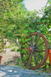 Vonkajšia záhrada v ubytovaní Agriturismo Costamagna