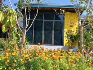 a yellow house with a bunch of flowers in front of it at Catba Papillon Garden Bungalows & Resort in Cat Ba