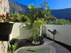 Gallery image of Onaturel & SPA C in Cilaos