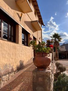 a group of potted plants sitting outside of a building at Hotel La Herencia in Tilcara