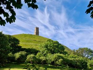 a tower on top of a hill with trees at Cute self-contained guest room with ensuite and private decked porch in Glastonbury in Glastonbury