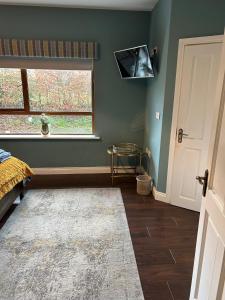 Μια τηλεόραση ή/και κέντρο ψυχαγωγίας στο Castletown Carlow +17 φωτογραφίες