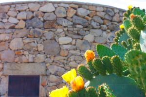 Fotografie z fotogalerie ubytování trullo macchie v destinaci Marina di Mancaversa