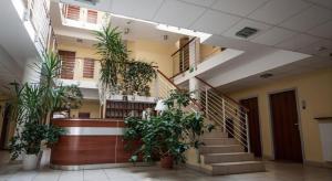 Fotografia z galérie ubytovania Apartament Stary Kazimierz - Apartamenty Pod Aniołem v destinácii Kazimierz Dolny