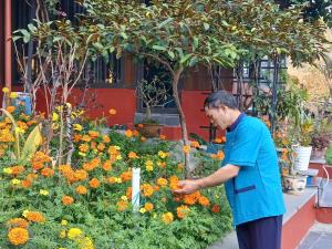 a man standing in front of a flower garden at Catba Papillon Garden Bungalows & Resort in Cat Ba