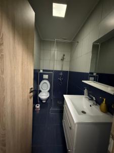 un bagno con un water e un lavandino di Casa Bella a Medgidia