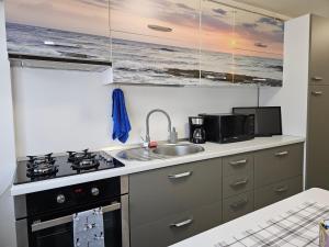 una cucina con fornelli e lavello di Apartment central Lupeni-Straja a Lupeni