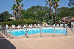 a swimming pool with lounge chairs and palm trees at Appt Studio avec Balcon Parking privé, Piscine, proche Golf St Donat in Mouans-Sartoux