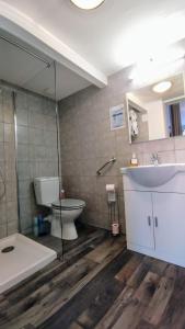 a bathroom with a toilet and a sink and a mirror at Studio Les coquelicots in Saint-Romain-sur-Cher