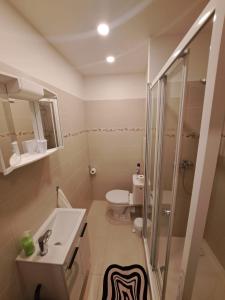 a bathroom with a shower and a sink and a toilet at Apartmán v Karlových Varech pro 2 osoby, ulice Mládežnická in Karlovy Vary