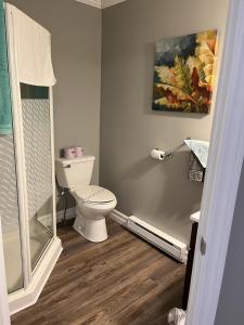 a bathroom with a toilet and a shower at Stanley House Motel in Clarenville