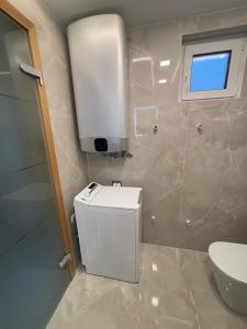 a bathroom with a white toilet and a sink at SISSI Apartment Banovci in Veržej +4 photos