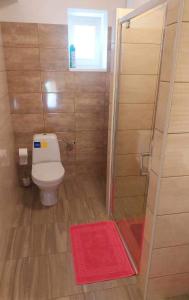 a bathroom with a toilet and a glass shower at Chalupa Kalameny in Kalameny +16 photos