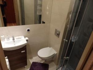 a bathroom with a toilet and a sink and a shower at Apartament Luna in Karpacz
