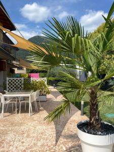 Nespecifikovaný výhled na hory nebo výhled na hory při pohledu z apartmánu