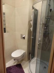 a small bathroom with a toilet and a shower at Apartament Luna in Karpacz