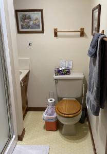 ノーウォークにあるCedar Point/Kalahari/Lake Erie - Betty's Homesteadのトイレと洗面台付きのバスルーム