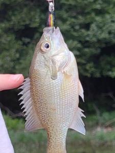 Gallery image of Catfish Cove in New London