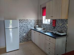 A kitchen or kitchenette at Canditas Studios