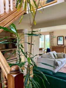 a living room with a green couch and a tree at Maison aux camélias in Locquénolé