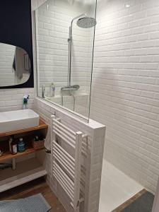 a white bathroom with a shower and a sink at Hébergement le Mans in Le Mans
