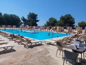 una grande piscina con sedie e persone di Villa Petra a Vodice