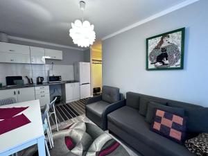 Kuchyň nebo kuchyňský kout v ubytování Centrum Pańska3 Apartment PARKING