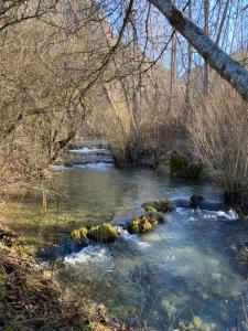 ein Wasserstrom mit Felsen in einem Wald in der Unterkunft La Casa de Dori in Beteta